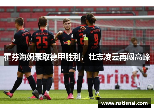 霍芬海姆豪取德甲胜利，壮志凌云再闯高峰